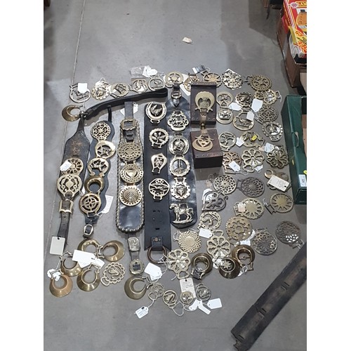 329 - A large quantity of assorted Horse Brasses, a pair of Horse Brass Bookends, etc. (R5).