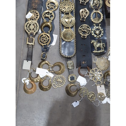 329 - A large quantity of assorted Horse Brasses, a pair of Horse Brass Bookends, etc. (R5).