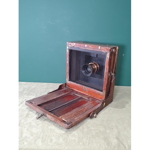 1373 - A mahogany and brass mounted, 12 x 10in, large format Camera with Busch lens