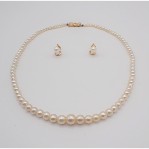 182 - A single row of graduated Cultured Pearls on 9ct gold bow shaped clasp together with a pair of Cultu... 