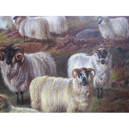 330 - CHARLES 'SHEEP' JONES (1836-1902). Sheep on a Moorland, a river beyond, signed with monogram, and fu... 