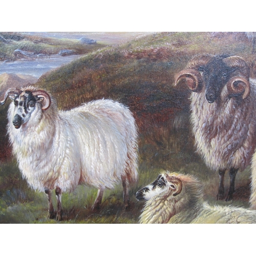 330 - CHARLES 'SHEEP' JONES (1836-1902). Sheep on a Moorland, a river beyond, signed with monogram, and fu... 