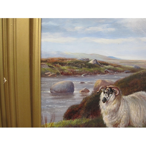 330 - CHARLES 'SHEEP' JONES (1836-1902). Sheep on a Moorland, a river beyond, signed with monogram, and fu... 