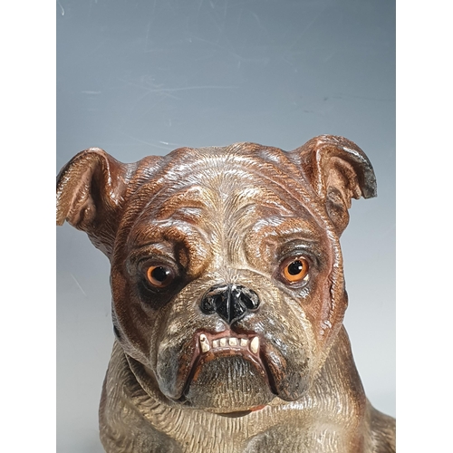 377 - A 19th Century cold painted terracotta model of a seated bulldog, with inset glass eyes 12 1/2in H A... 