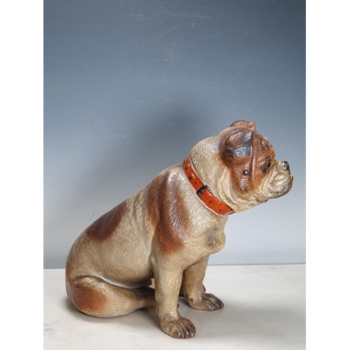 377 - A 19th Century cold painted terracotta model of a seated bulldog, with inset glass eyes 12 1/2in H A... 