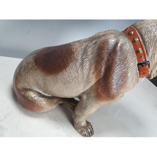 377 - A 19th Century cold painted terracotta model of a seated bulldog, with inset glass eyes 12 1/2in H A... 