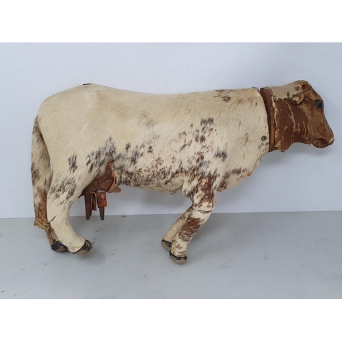 413 - A 19th Century skin covered Dog with glass eyes 8in L