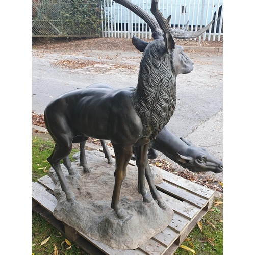 439 - An impressive alloy bronze effect Sculpture of a pair of Red Deer (one antler A/F) 4ft 10in H x 4ft ... 