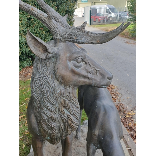 439 - An impressive alloy bronze effect Sculpture of a pair of Red Deer (one antler A/F) 4ft 10in H x 4ft ... 