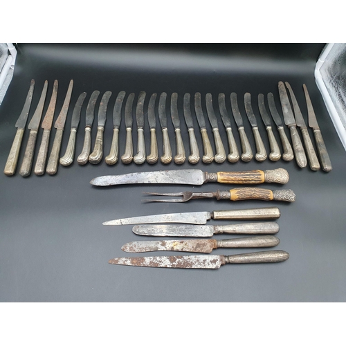 75 - Seventeen pistol grip Knives with steel blades, eleven other Knives, and a silver mounted Carving Kn... 