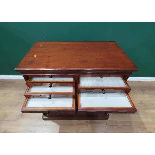 752 - A 19th Century mahogany Entomology Collector's Chest of thirty drawers, 3ft 7in High x 3ft 6in Wide ... 