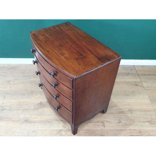 847 - A Regency mahogany bowfront Chest of drawers, the moulded top above four long drawers raised on a sh... 