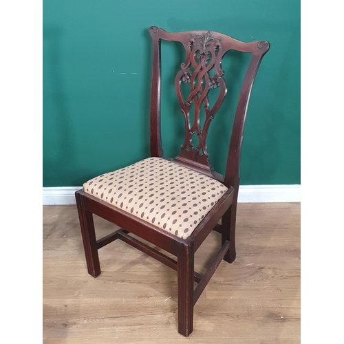 872 - A set of ten 19th Century mahogany Dining Chairs with pierced splat backs, drop-in seats on chamfere... 