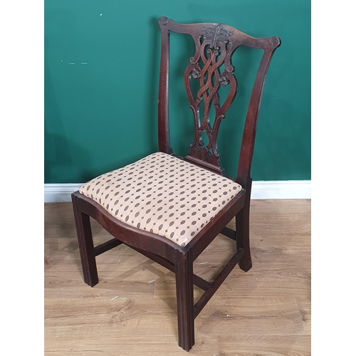 872 - A set of ten 19th Century mahogany Dining Chairs with pierced splat backs, drop-in seats on chamfere... 