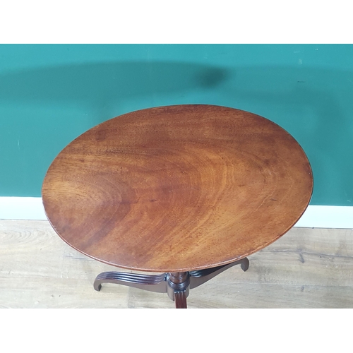 955 - An early 19th Century mahogany tilt top Table with oval top on slender baluster column and reeded do... 