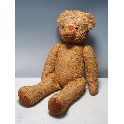 243 - A vintage Teddy Bear 1ft 10in H  (R6)