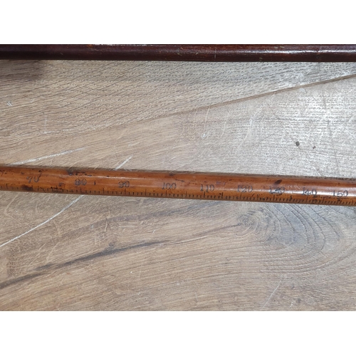 274 - Two antique Measuring Sticks and a Shepherd's Crook (R8)