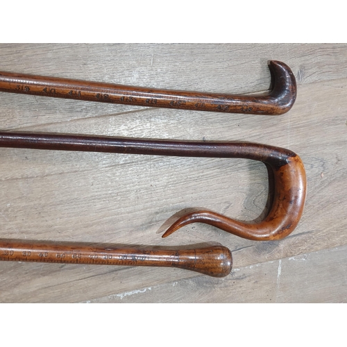 274 - Two antique Measuring Sticks and a Shepherd's Crook (R8)