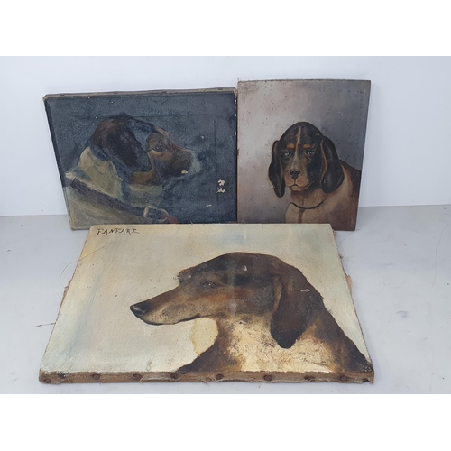 31 - ENGLISH SCHOOL. a primitive oil on canvas Portrait of a Terrier 10in W x 8in H, another titled 'Fanf... 