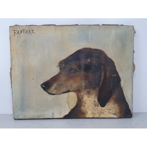 31 - ENGLISH SCHOOL. a primitive oil on canvas Portrait of a Terrier 10in W x 8in H, another titled 'Fanf... 