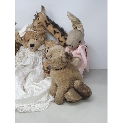 482 - Two Teddy Bears, a Giraffe Soft Toy, a Cat Soft Toys and two Rabbit Soft Toys