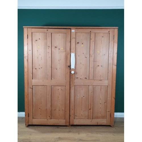 574 - An antique pine Cupboard fitted pair of panelled doors 5ft 11in H x 5ft 5in W (BW)