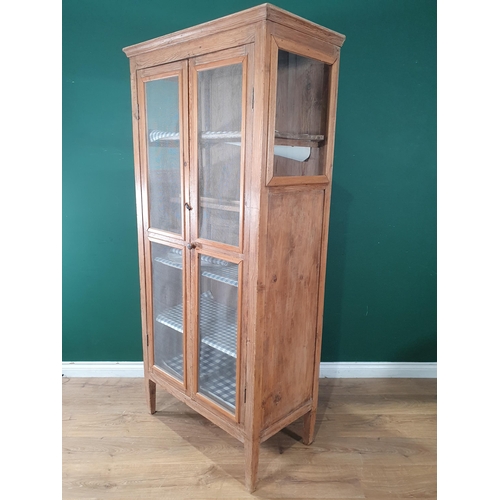 627 - An antique pine Food Cupboard fitted pair of gauze infilled doors raised on squared tapering support... 