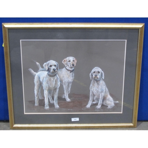 434 - CAROLYN ALEXANDER. Three Bedlington Lurchers, signed, titled and dated 1991, pastel, 18 3/4 in x 2 3... 