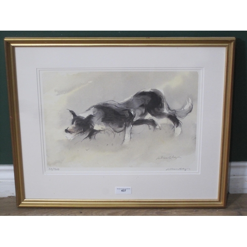 437 - WILLIAM SELWYN. 'Working Sheepdog', colour reproduction, pencil signed and numbered 30/500, Pl.11 x ... 