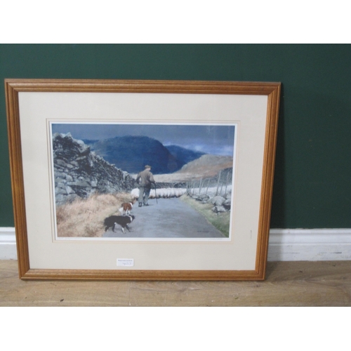 437 - WILLIAM SELWYN. 'Working Sheepdog', colour reproduction, pencil signed and numbered 30/500, Pl.11 x ... 