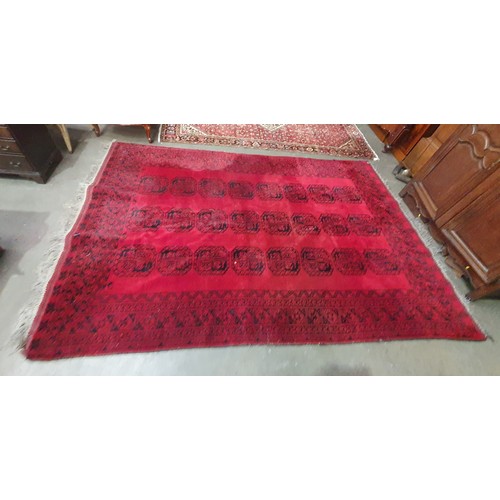 800 - A multi bordered Bokhara Carpet with three rows of seven large guls on a red ground, 7ft 3in x 10ft ... 