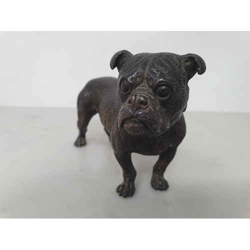 286 - A bronze Figure of a Bulldog wearing a collar, 4 1/2in, stamped under