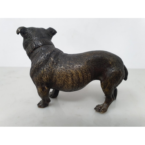 286 - A bronze Figure of a Bulldog wearing a collar, 4 1/2in, stamped under