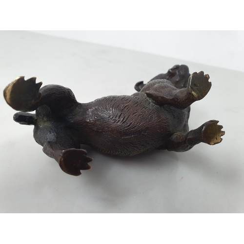 286 - A bronze Figure of a Bulldog wearing a collar, 4 1/2in, stamped under