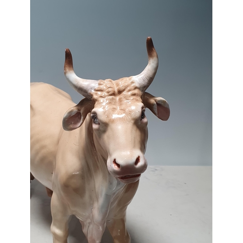 302 - A Continental Porcelain model of a Bull, 14