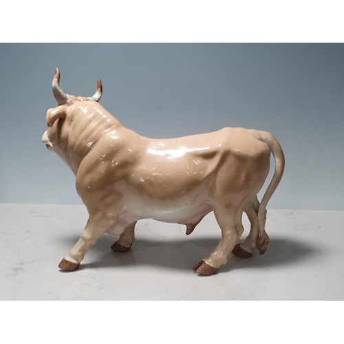 302 - A Continental Porcelain model of a Bull, 14