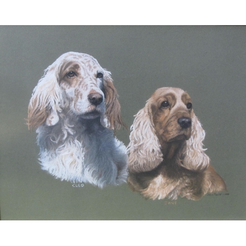 410 - JOHN MOULD. Cocker Spaniels, signed, inscribed and dated 1985, pastel, 15 1/2 x 19 1/2 in