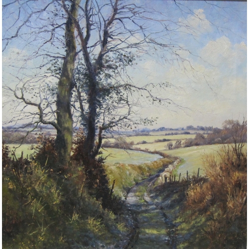 411 - MERVYN GOODE. 'Frost in the Long Track', signed and dated 1991, oil on canvas, 18 x 18 in