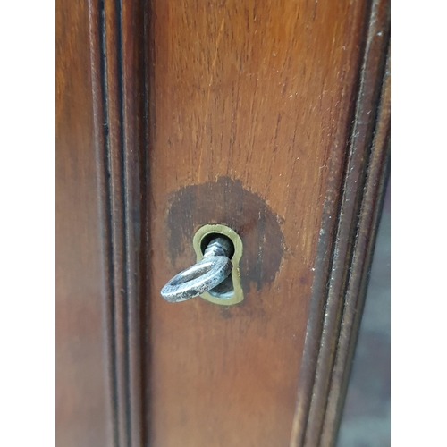 471 - A mahogany Display Cabinet, with moulded dentil frieze cornice above pair of astragal glazed doors, ... 