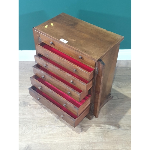 561 - A 19th Century walnut Collector's Cabinet fitted six drawers raised on plinth base 1ft 8in H x 1ft 6... 