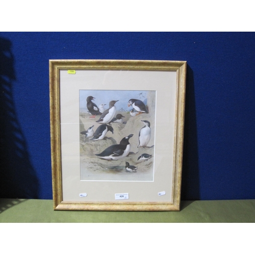 406 - AFTER ARCHIBALD THORBURN. Guillemot, Razorbill and Puffin on a Shore, colour print, 12 x 9 1/2 in; t... 