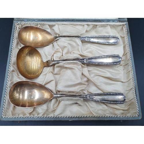 122 - A pair of Continental silver and parcel-gilt Serving Spoons and Ladle with leafage decorated stems, ... 