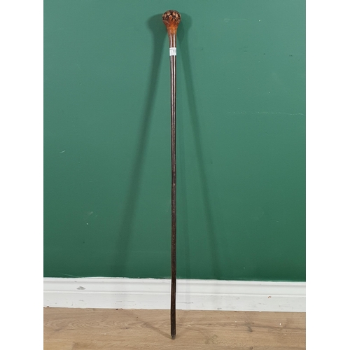 707 - A Vintage Gilder Rose Walking Cane (Missing Ferrule), 37