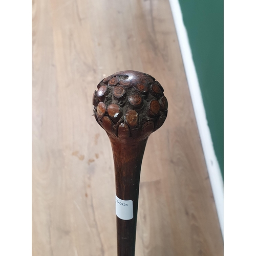 707 - A Vintage Gilder Rose Walking Cane (Missing Ferrule), 37