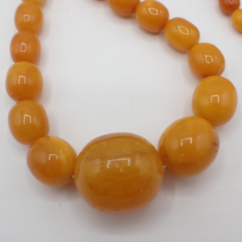 205 - A Butterscotch Amber graduated bead Necklace, approx 90gms, smallest bead approx 8.20mm, largest bea... 