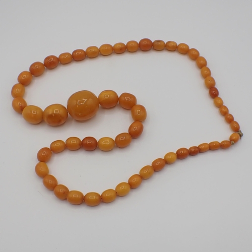 205 - A Butterscotch Amber graduated bead Necklace, approx 90gms, smallest bead approx 8.20mm, largest bea... 