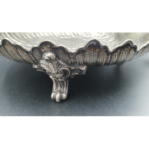 12 - A Continental silver scallop shape Dish with dolphin handle on three scroll supports