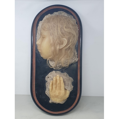 248 - A Victorian wax Death Mask of a girl on ebonised dome base 1ft 7in W