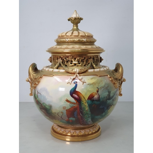 364 - A Royal Worcester pot pourri with two scroll  embossed handles, decorated swags,  pierced border and... 