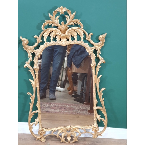 584 - A pair of antique Wall Mirrors in the Georgian manner with elaborate gilt wood, pierced and foliate ... 